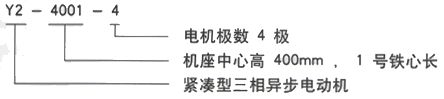 YR系列(H355-1000)高压YJTFKK4502-4-500KW三相异步电机西安西玛电机型号说明